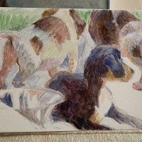 Dogs, 12"x16", Sketch