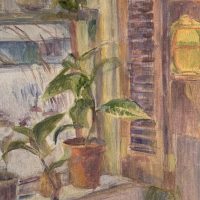 Plants and Shutter, 18"x18"