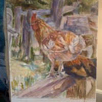 Rooster, 24"x16", SKETCH